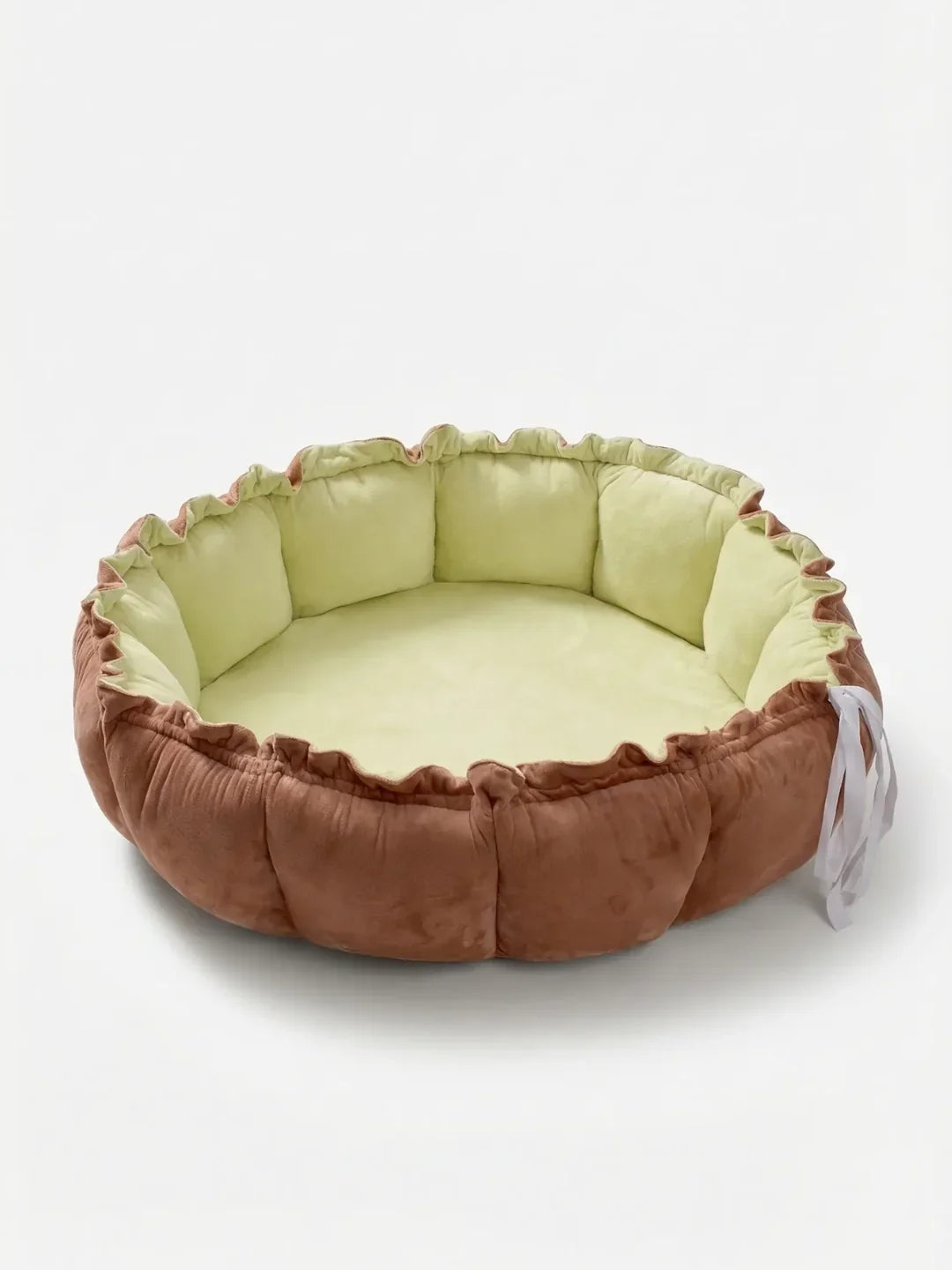 Arche d'éveil avec tapis 2 en 1